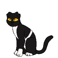 Raven Spots